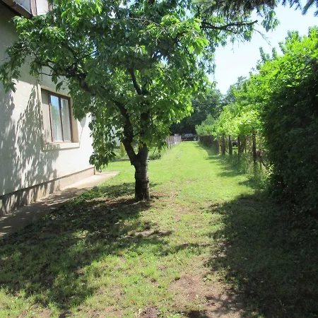 Holiday home In Csopak/balaton 18315