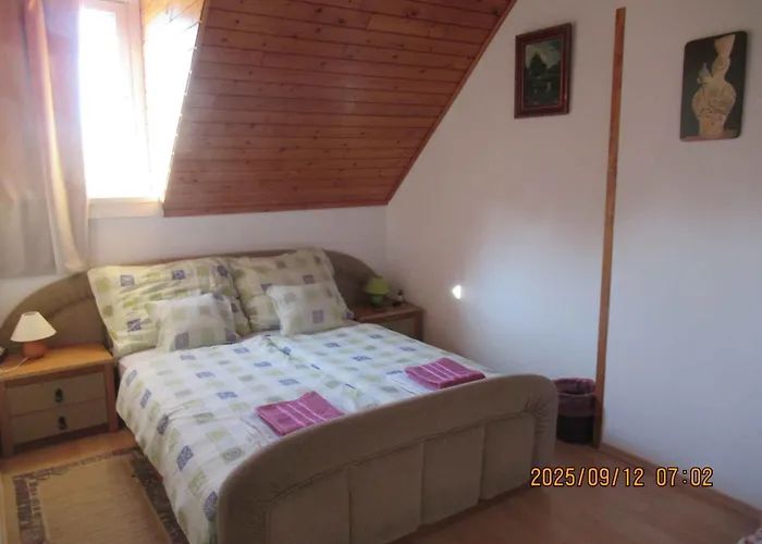 In - Balaton 18315 Holiday home